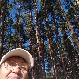 �������� ���������, ����, 61 ���