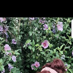 , 38 , 