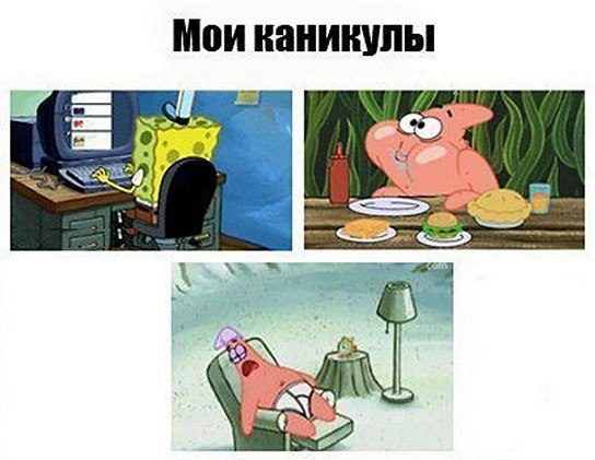 ☆   ☆ - 9  2025  16:37