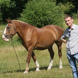 � � �, �����-���������, 42 ����