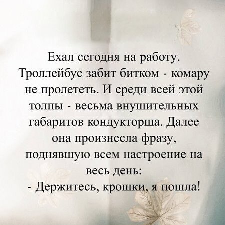   - 9  2025  11:58