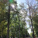 ���� ���, �������, 33 ���� - ��������� 20 ������� 2026 � ������ ������ ��������