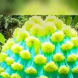 ���� �����, ������, 35 ��� - ��������� 6 ������ 2023