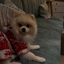 ���� �������, �����������, 23 ���� - ��������� 26 ������� 2025 � ������ ���� ����������