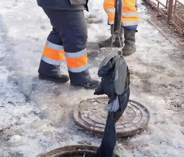 ������� �������� ������ �� ��������, ����� ������ ����� � �������� ���� �����. ����� �������� � ... - 2