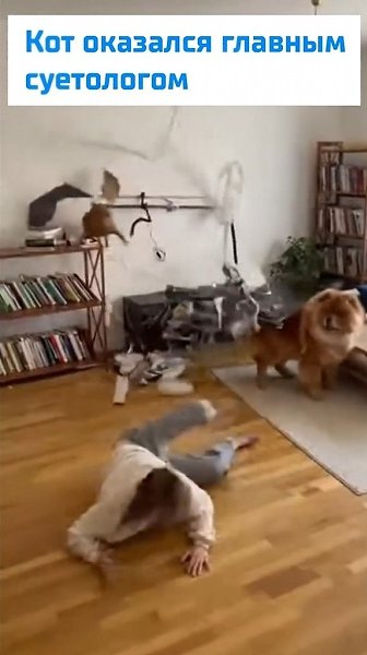 ��� ��� ������ ����������. ��� ������ ������� �� ���� �������� � ���������, � ����� ����� ������ ... - 2