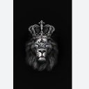 ���� ����, ������, 41 ��� - ��������� 17 ������� 2023 � ������ ���� ����������