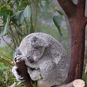 ���� �����, ������, 44 ���� - ��������� 17 ������ 2026