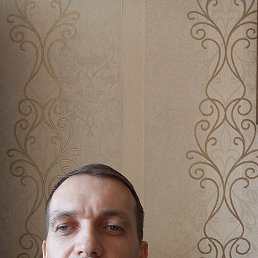  , 41, 