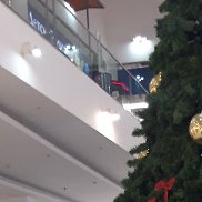 Vladimir, 70 ���, ���������