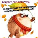 ���� �, �������� - ��������� 10 �������� 2024