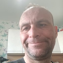 �����, ���������, 65 ���