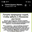 ���� �����, ������, 54 ���� - ��������� 23 ����� 2024