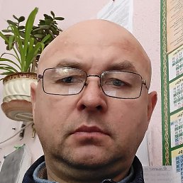 , , 50 