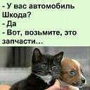 ���� ��������, ��������, 71 ��� - ��������� 12 ������ 2025 � ������ ���� ����������