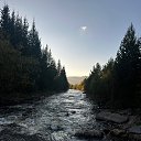���� ���������, �����, 37 ��� - ��������� 12 �������� 2024 � ������ ������ ��������