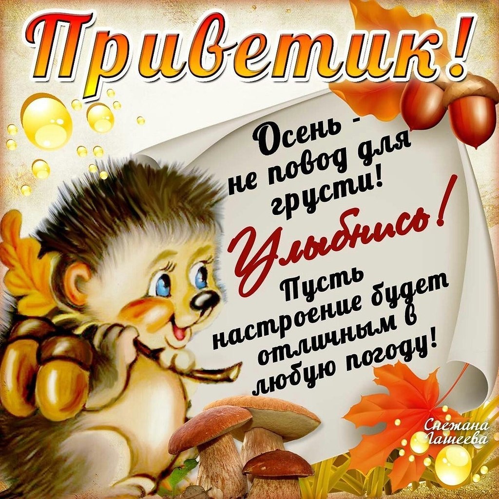   ,    . - 26  2025  21:37 - 2