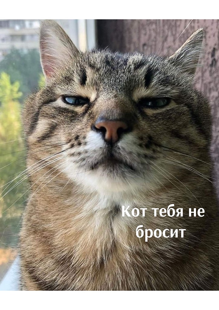       - 28  2025  22:04