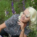 ���� �������� ��������, �����, 41 ��� - ��������� 15 ��� 2025 � ������ ���� ����������