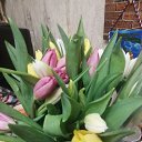 ���� ����, �����, 61 ��� - ��������� 11 ����� 2025 � ������ ���� ����������
