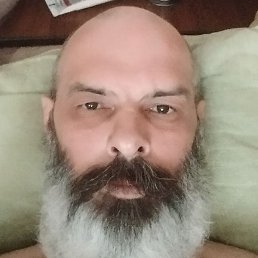 �������, ����, 49 ���