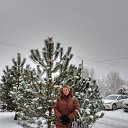 ���� ����, ���������, 61 ��� - ��������� 26 ������� 2025 � ������ ���� ����������
