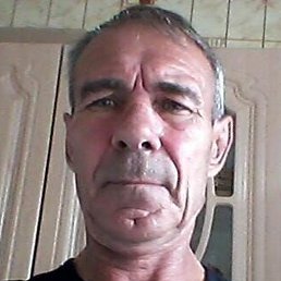 ��������, �����������, 65 ���