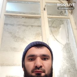 ��� ����, 41 ���, ���������