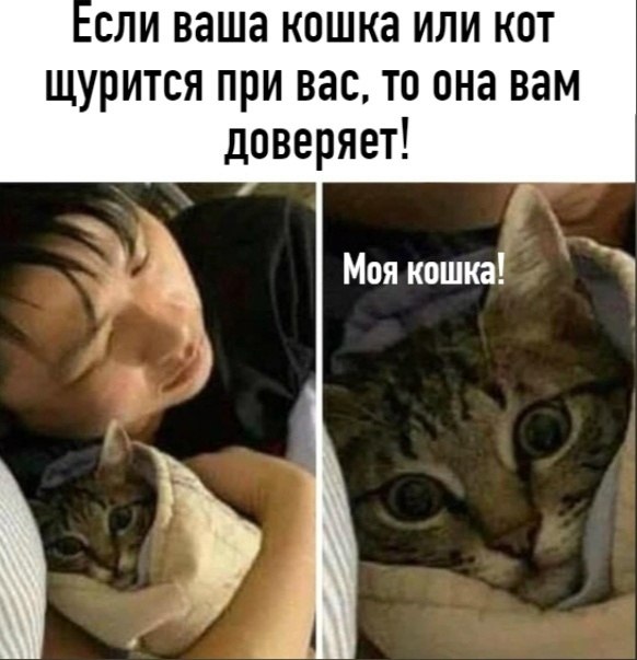 ��� ���� � ����� �� �� - 29 ���� 2026 � 23:02