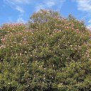 ���� ������, ������, 48 ��� - ��������� 31 ������ 2026 � ������ ���� ����������