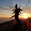 ���� ���������, �������, 65 ��� - ��������� 28 ������ 2024 � ������ ������ ��������