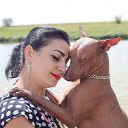 ����, 44 ����, ��������