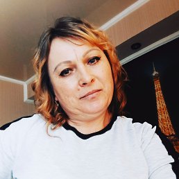 �����, 41 ���, ����