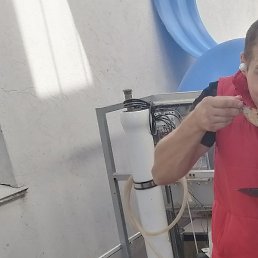 ����, ������, 52 ����