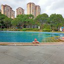  , , 49  -  11  2025