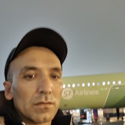 ����, 40 ���, �����
