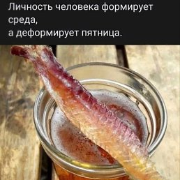 ���� ���, ���, 65 ��� - ��������� 15 ������� 2025