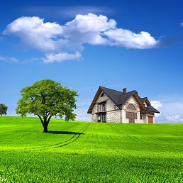 ���� Leva, �����, 65 ��� - ��������� 5 ������ 2025