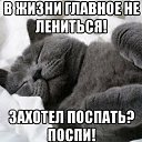 ���� ����, ����������, 58 ��� - ��������� 16 ������� 2025 � ������ ���� ����������