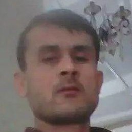 ����, �����-���������, 40 ���