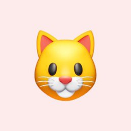 ���� �����, ������, 30 ��� - ��������� 30 ����� 2026