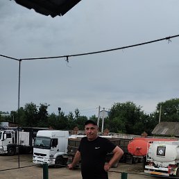  , 54 , 