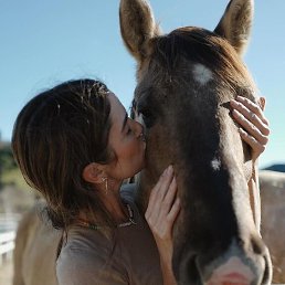 �������, ������ ��������, 38 ���