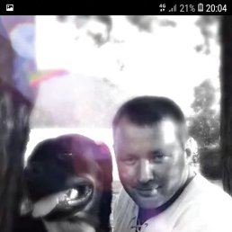 ���� �������, ���������, 46 ��� - ��������� 20 ������� 2024