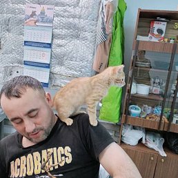 ���� ��������, �����-���������, 51 ��� - ��������� 16 ��� 2026
