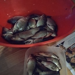 ���� ����, ���������, 39 ��� - ��������� 26 ��� 2026