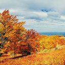 ���� �������, ������, 64 ���� - ��������� 10 ������� 2025 � ������ ���� ����������