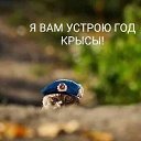 ���� �������, ���������� �����, 63 ���� - ��������� 16 ������ 2023 � ������ ���� ����������