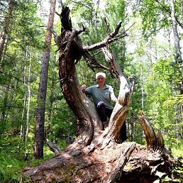 ��������, ����, 70 ���