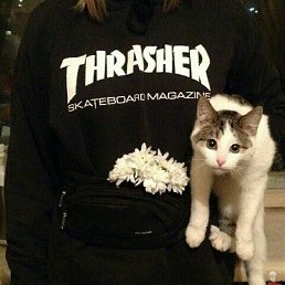 ����, �����������, 24 ����